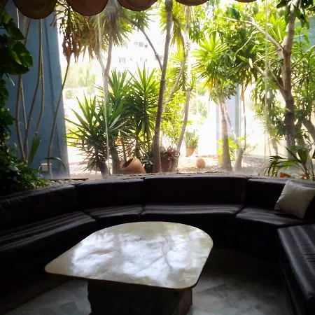 Leon Del Sur Apartment San Miguel de Abona